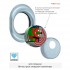 Броненакладка DISEC DIAMOND BKD250 DIN OVAL 25мм Нерж.сталь_мат 4клас Броненакладка DISEC DIAMOND BKD250 DIN OVAL 25мм Нерж.сталь_мат 4клас