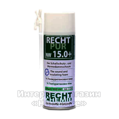 Пена Recht Pur nw 15.0 300 ml